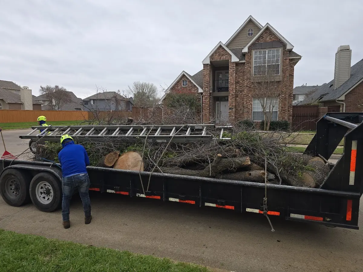 Expert Crown Reduction with proper safety equipment in Star Lake